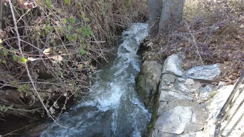 The stream flowing through the trees and rocks looks very beautiful. Stock Footage 230060454
