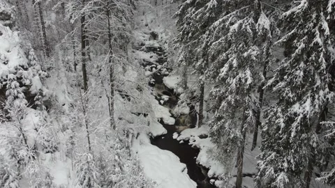 A stream flowing through the winter forest to the waterfall . Aerial view Stock Footage 148081010