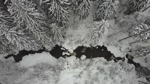 A stream flowing through the winter forest to the waterfall . Aerial view Stock Footage 148081351