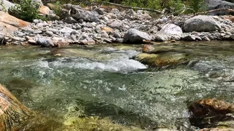 Stream flowing. Transparent water of a river in slow motion. 스톡 동영상 230476113
