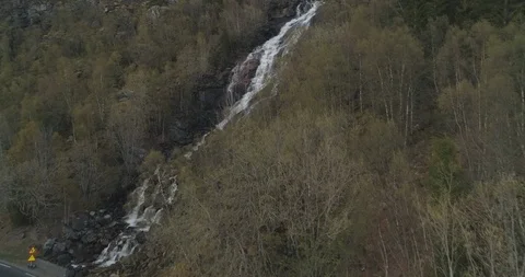 Stream flowing trough forest Stock Footage 85962471