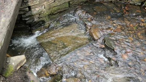 Stream flowing under bridge Stock Footage 151544566