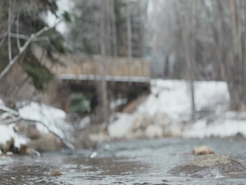 Stream flowing under a bridge on a snowy winter day Stock Footage 84502254