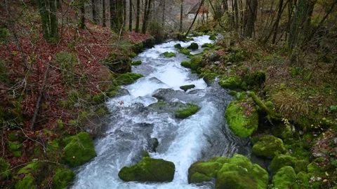 Stream flowing under small wooden bridge in pristine nature Stock Footage 184084062