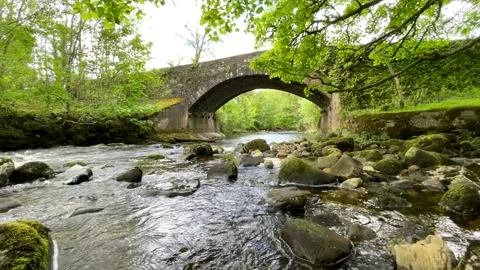 Stream flowing under Stone bridge Stock Footage 154758109