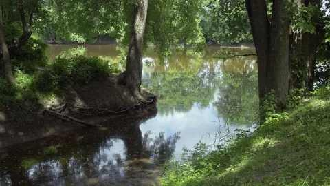 Stream flowing into Wallkill River in New Paltz, NY Video stock 84077298