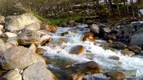 Stream flowing water Stock Footage 289726701