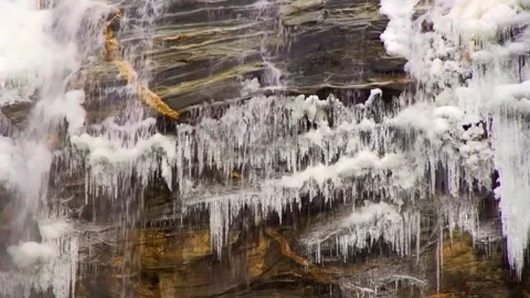 Stream flowing water Stock Footage 289726879