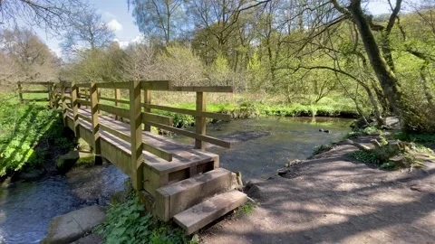 Stream flowing water footpath bridge countryside Stock Footage 245425842