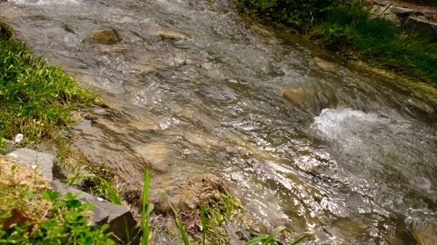 Stream flowing water stones. Selective focus. Stock Footage 226337969