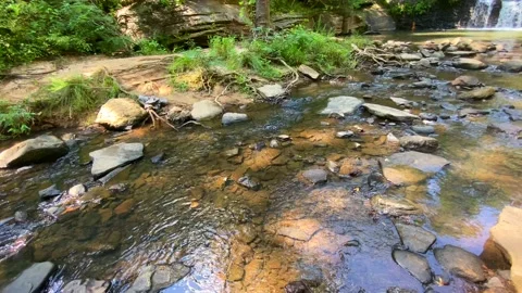 Stream Flowing From Waterfall In Background Stock Footage 138458116