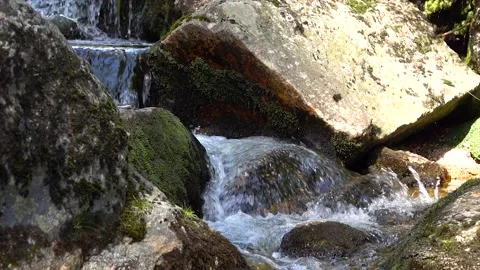 A stream flowing from a waterfall. Flowing through the forest. Slow motion Stock Footage 146385821