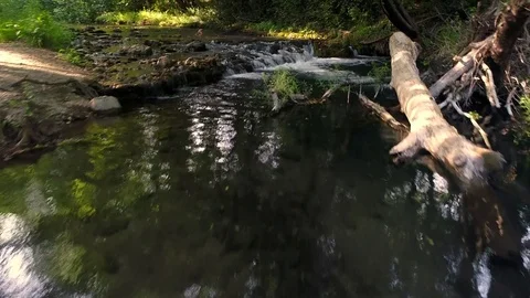 A stream flowing in the Woods Stock-Footage 77408083