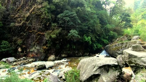 Stream flowing in the woods Stock Footage 194752860