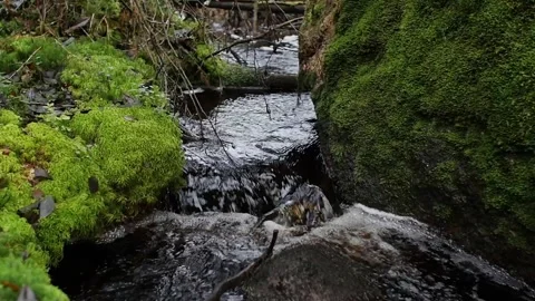 Stream flows among huge boulders covered with green moss Stock Footage 235851709