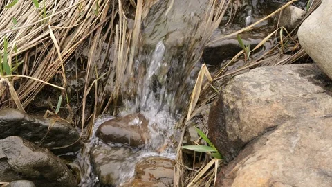 Stream flows among rocks, creating tranquil scene. Water cascades over stones Video stock 278138299