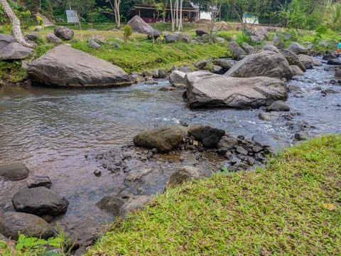 Stream flows among rocks in forest Stock Photos