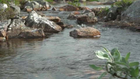 The stream flows among the stones. The flow of water. Video stock 83461407