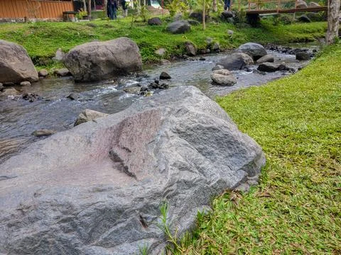 Stream flows around rocks in lush greenery Stock Photos