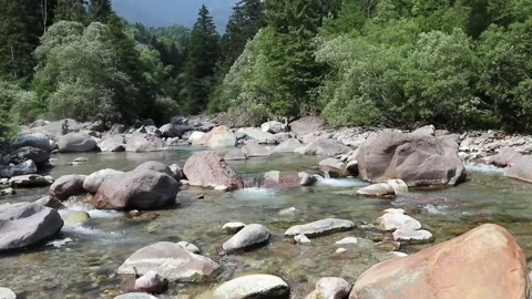 Stream flows between the mountains in uncontaminated natural environment Stock Footage 312275210