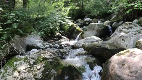 Stream flows between the mountains in uncontaminated natural environment Stock Footage 312456180