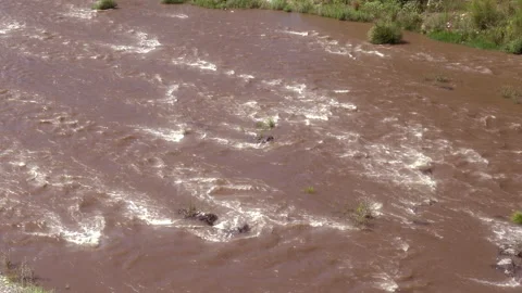 The stream flows dirty Stock Footage 298499603