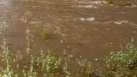 The stream flows dirty 動画素材 298500894