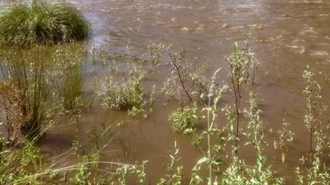 The stream flows dirty 動画素材 298500977