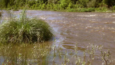 The stream flows dirty 動画素材 298501007