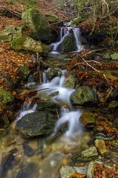 Stream flows down from the mountain in Santa fe del Montseny forest Fotos de archivo