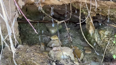 The stream flows down the stone in a small trickle Stock Footage 246480134