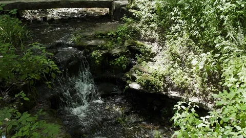 A Stream Flows Down A Waterfall In A Forest Stock Footage 87478799