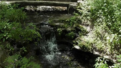 A Stream Flows Down A Waterfall In A Forest Stock Footage 87478950