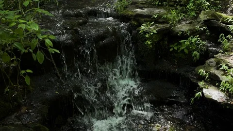 A Stream Flows Down A Waterfall In A Forest Stock Footage 87479028