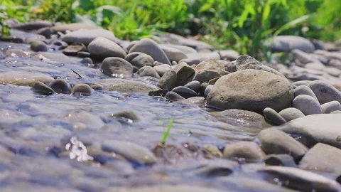 A stream flows in the forest on a sunny day Stock Footage 270412734