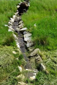 A stream flows in the grass, surrounded by stones at the edges Foto stock