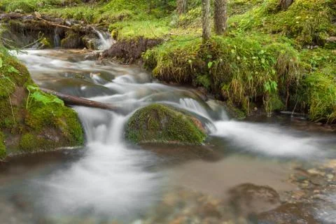 A stream flows inside the woods in Alto Adige Stock Photos