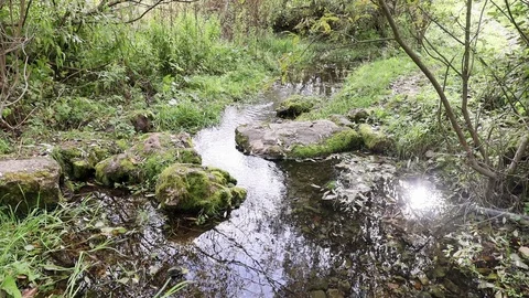 A stream flows over mossy stones Stock Footage 120457161