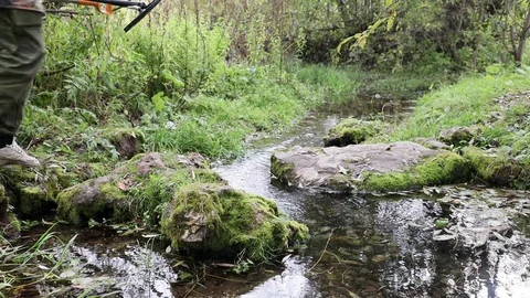 A stream flows over mossy stones Stock Footage 120458595