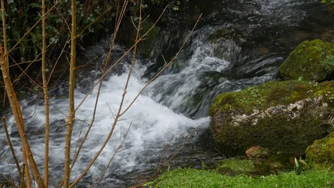 A stream flows over rocks Stock Footage 126718609
