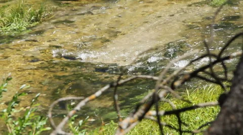 Stream flows over rocks to form a tiny rapid Stock Footage 40357392