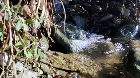The stream flows over the rocks in a thicket of grass Stock Footage 121963924