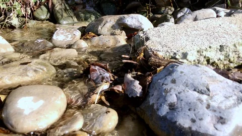 The stream flows over the rocks in a thicket of grass Stock Footage 121964134