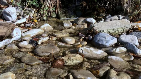 The stream flows over the rocks in a thicket of grass Stock Footage 121964218