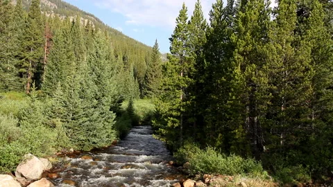 A stream flows over rocks toward Turquoise Lake near Leadville, Colorado Stock Footage 200221532