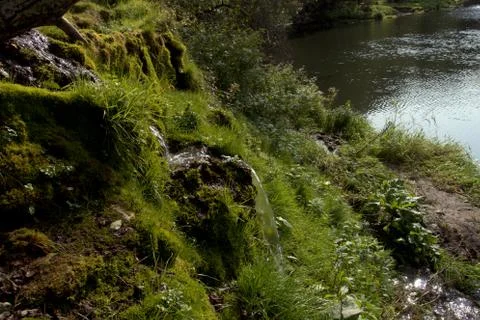The stream flows into the river on a summer day. Stock Photos