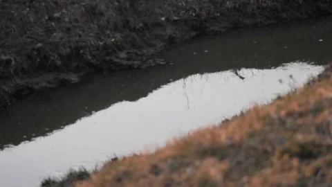 Stream flows sink drainage 스톡 동영상 106341082