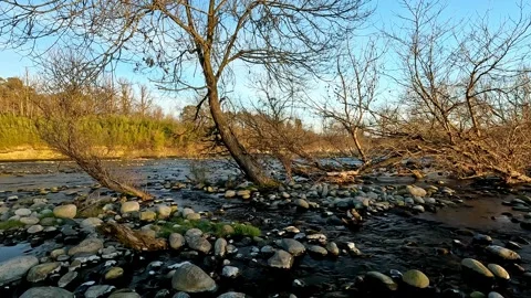 A stream flows slowly towards the river in the nature park Stock Footage 321138146