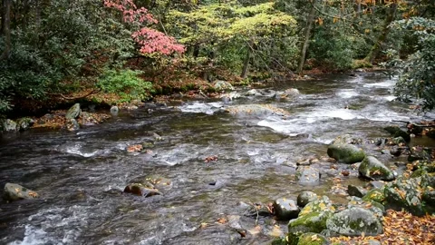 Stream Flows in the Smoky Mountains Stock Footage 144855116