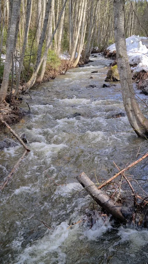 Stream that flows in the spring Stock Footage 244859498